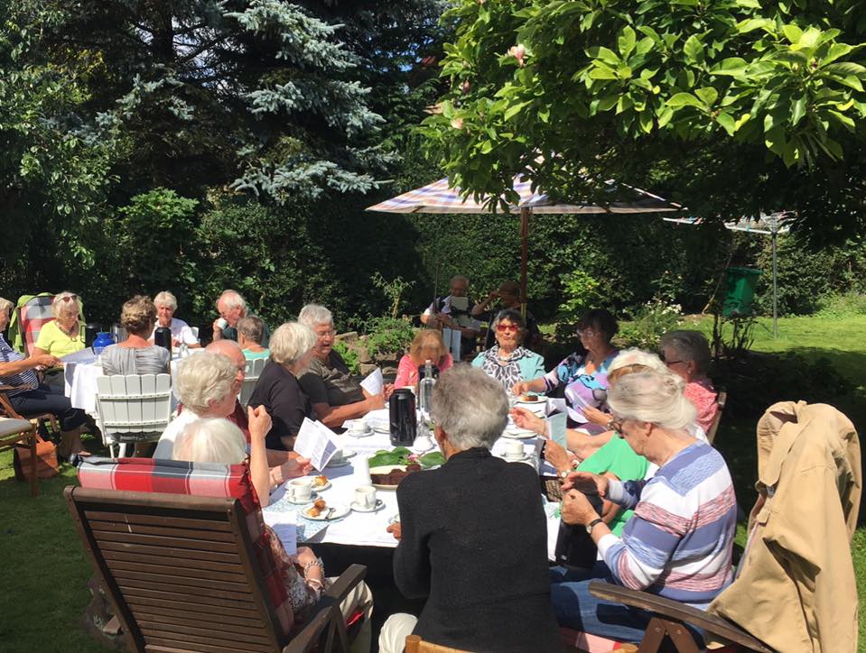 havefest i det grønne baggrundsmusik viser underholdning harmonika banjo sømandsmusik viser pop folkemusik