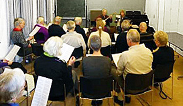 havefest baggrundsmusik viser underholdning harmonika banjo sømandsmusik viser pop folkemusik