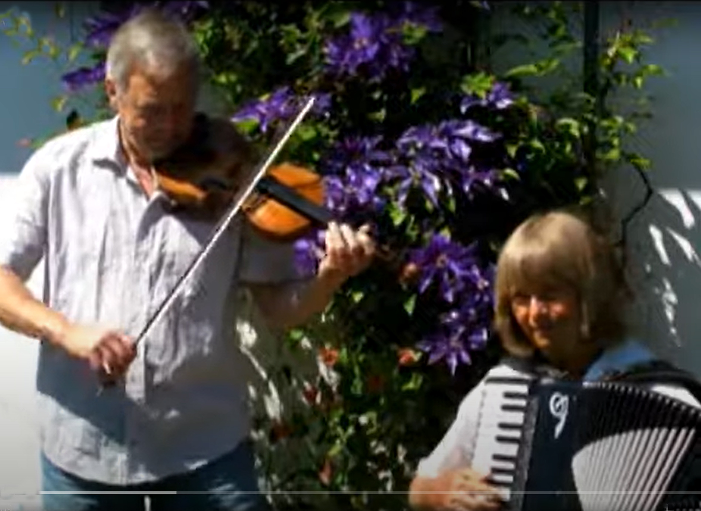fest baggrundsmusik viser underholdning harmonika banjo sømandsmusik viser pop folkemusik