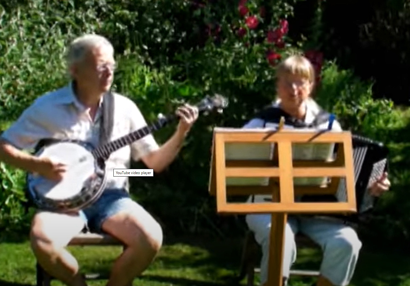 fest baggrundsmusik viser underholdning harmonika banjo sømandsmusik viser pop folkemusik
